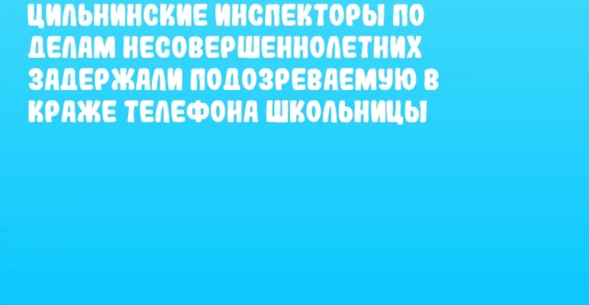 Цильнинские инспекторы по делам несовершеннолетних задержали подозреваемую в краже телефона школьницы Цильнинские инспекторы по делам несовершеннолетних задержали подозреваемую в краже телефона школьницы
