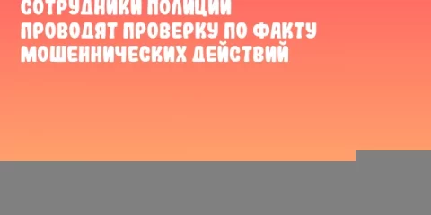 Сотрудники полиции проводят проверку по факту мошеннических действий