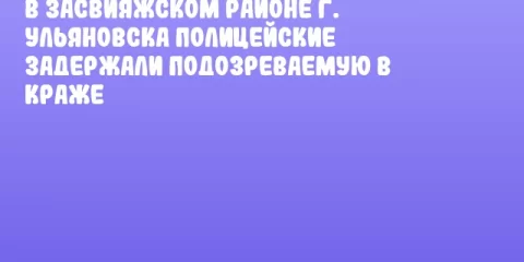 В Засвияжском районе г. Ульяновска полицейские задержали подозреваемую в краже