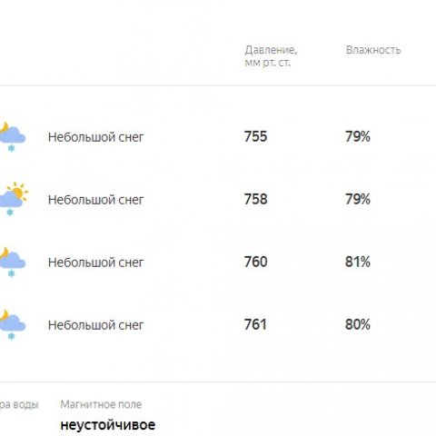 Погода 28 января 2019. Школьники Ульяновска учатся в штатном режиме
