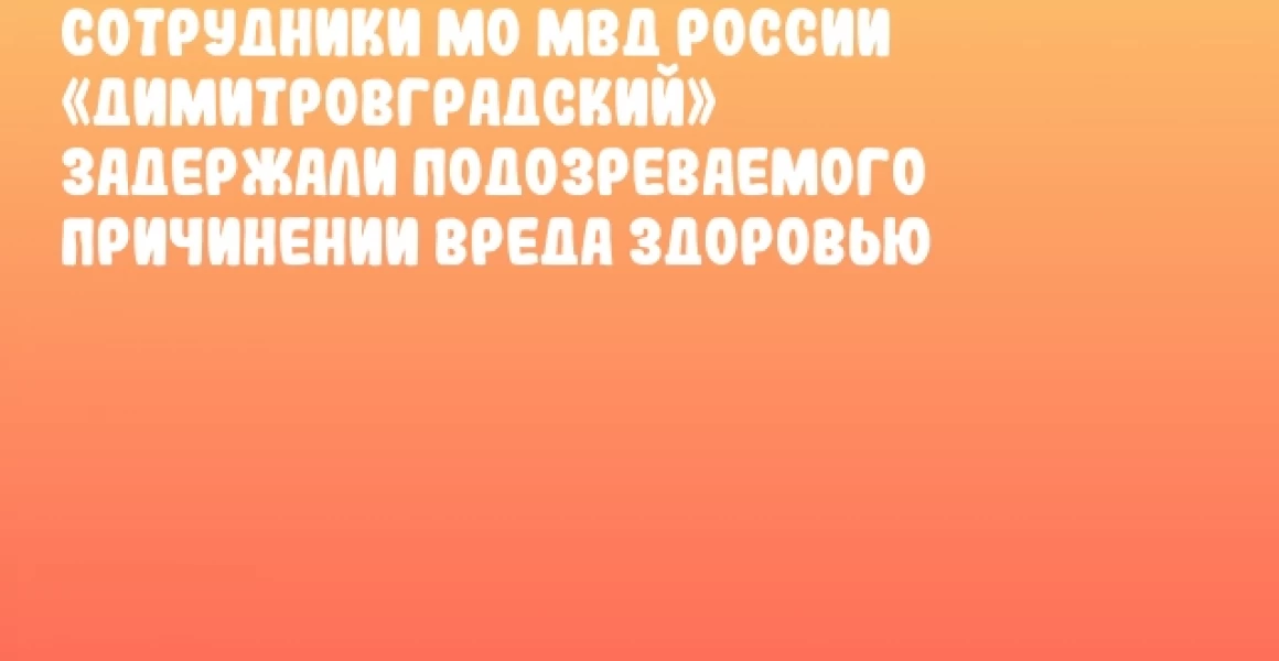 Сотрудники МО МВД России «Димитровградский» задержали подозреваемого причинении вреда здоровью