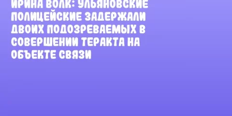Ирина Волк: Ульяновские полицейские задержали двоих подозреваемых в совершении теракта на объекте связи