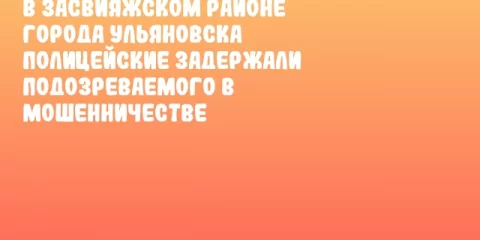 В Засвияжском районе города Ульяновска полицейские задержали подозреваемого в мошенничестве