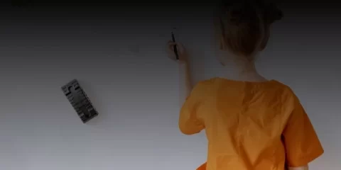 Ульяновск украсили больше 750 зелёных насаждений