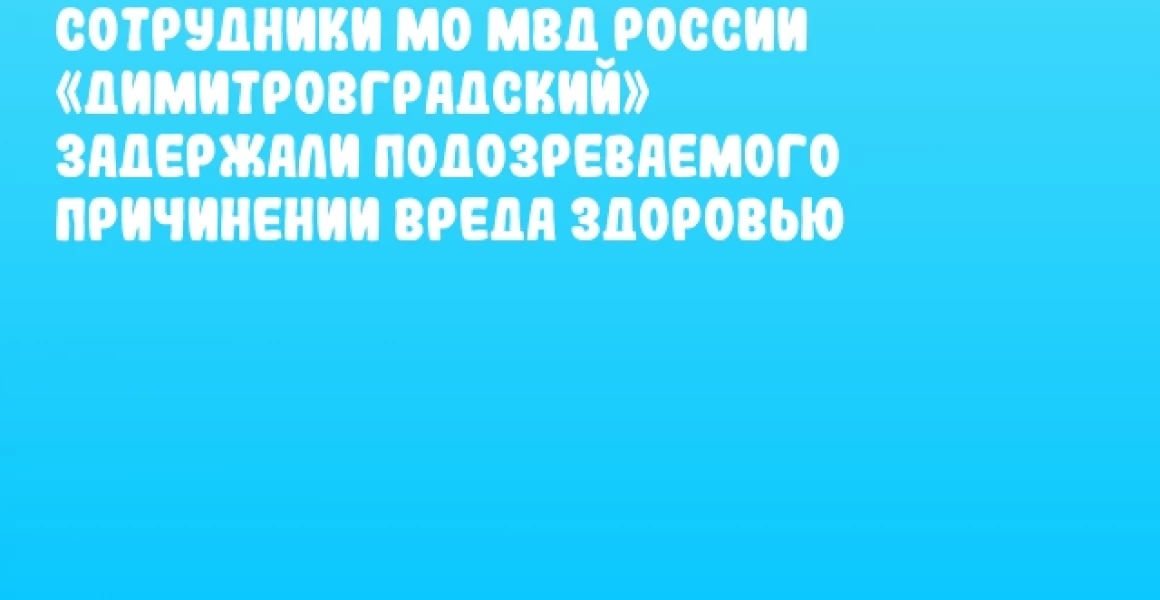 Сотрудники МО МВД России «Димитровградский» задержали подозреваемого причинении вреда здоровью
