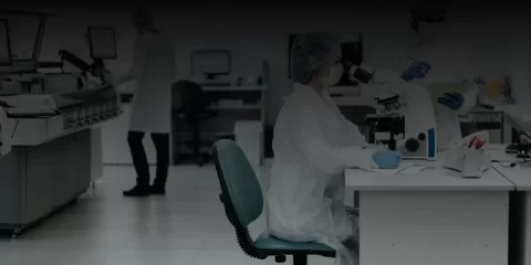 В Ульяновске обследуют деревья с помощью специального томографа