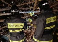 Сильный ветер повалил в Ульяновске 33 дерева
