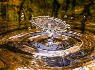 Короткое "бабье лето" в Ульяновской области: 8 сентября ожидается до 29 °C