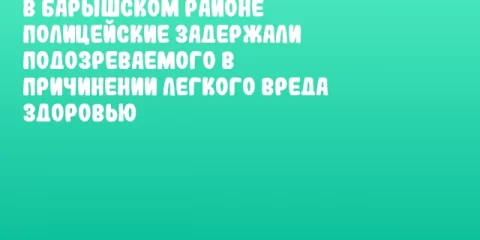В Барышском районе полицейские задержали подозреваемого в причинении легкого вреда здоровью