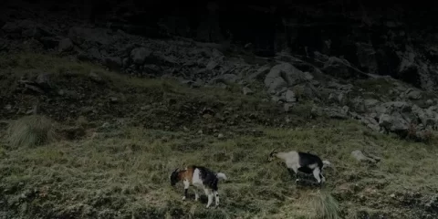 Трёхлетние потребности ульяновского ЖКХ планируется финансировать на прежнем уровне Трёхлетние потребности ульяновского ЖКХ планируется финансировать на прежнем уровне