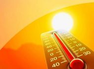 В лесах Ульяновской области  прогнозируется высокая пожароопасность