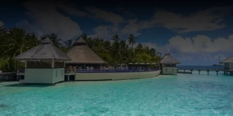 За нарушение Правил благоустройства привлечено к ответственности 75 организаций Ульяновска За нарушение Правил благоустройства привлечено к ответственности 75 организаций Ульяновска