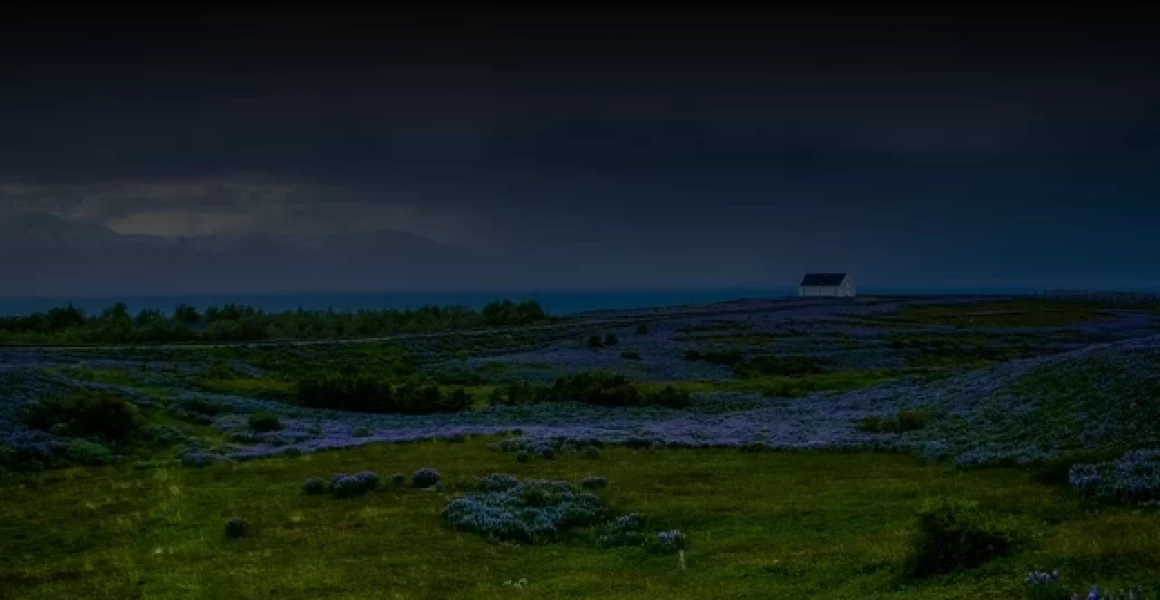 Сенгилеевский участковый уполномоченный полиции задержал подозреваемую в причинении вреда здоровью Сенгилеевский участковый уполномоченный полиции задержал подозреваемую в причинении вреда здоровью