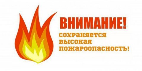 В ульяновских лесах сохраняется высокая пожарная опасность