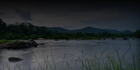 В Ульяновске стартует месячник героико-патриотической работы &laquo;Отчизны верные сыны&raquo;