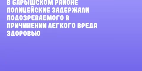 В Барышском районе полицейские задержали подозреваемого в причинении легкого вреда здоровью