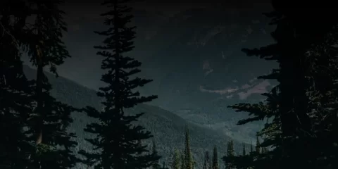 В Ульяновске усилена мойка дорог и прочистка ливнёвок