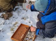 Экологическая катастрофа с водой в Ульяновской области