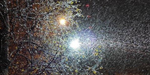 В Ульяновске вновь продолжит идти дождь со снегом