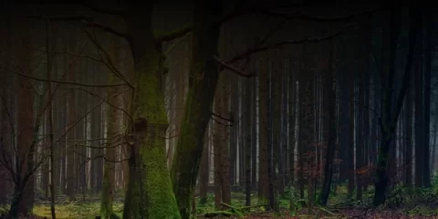 В Ульяновске прошла торжественная церемония возложения цветов к памятнику Героя России Дмитрия Разумовского В Ульяновске прошла торжественная церемония возложения цветов к памятнику Героя России Дмитрия Разумовского