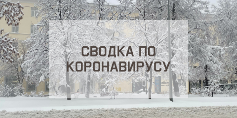 Ситуация с коронавирусом в городе на 11 февраля