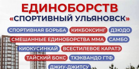 В День города в Ульяновске пройдет фестиваль единоборств