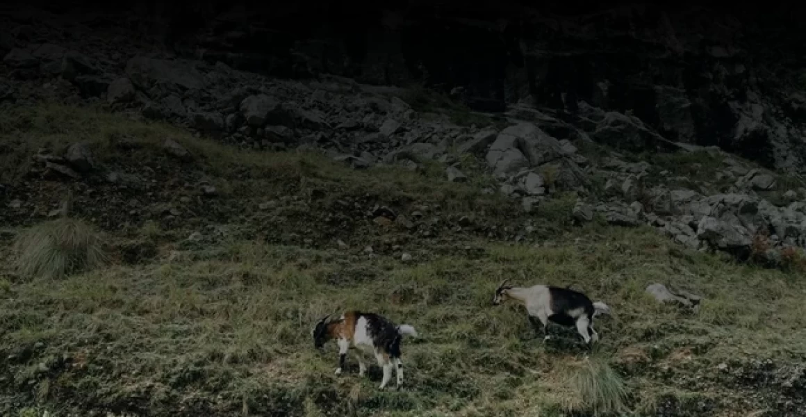 Трёхлетние потребности ульяновского ЖКХ планируется финансировать на прежнем уровне Трёхлетние потребности ульяновского ЖКХ планируется финансировать на прежнем уровне