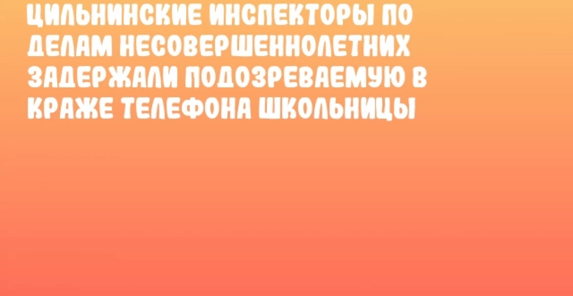 Цильнинские инспекторы по делам несовершеннолетних задержали подозреваемую в краже телефона школьницы Цильнинские инспекторы по делам несовершеннолетних задержали подозреваемую в краже телефона школьницы