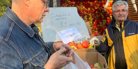 В Ульяновске прошла первая в этом году сельскохозяйственная ярмарка