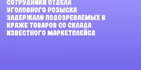 Сотрудники отдела уголовного розыска задержали подозреваемых в краже товаров со склада известного маркетплейса