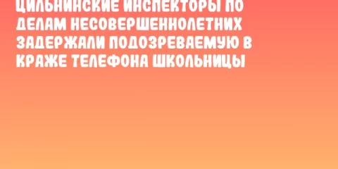 Цильнинские инспекторы по делам несовершеннолетних задержали подозреваемую в краже телефона школьницы