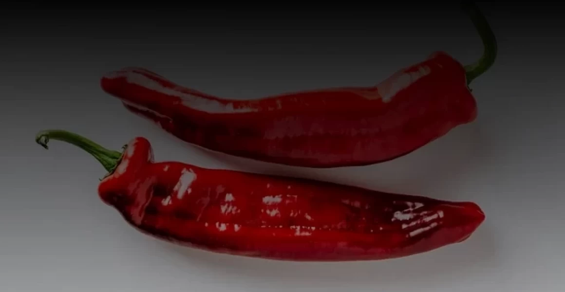 Ульяновцев 25 апреля зовут на Всероссийский субботник