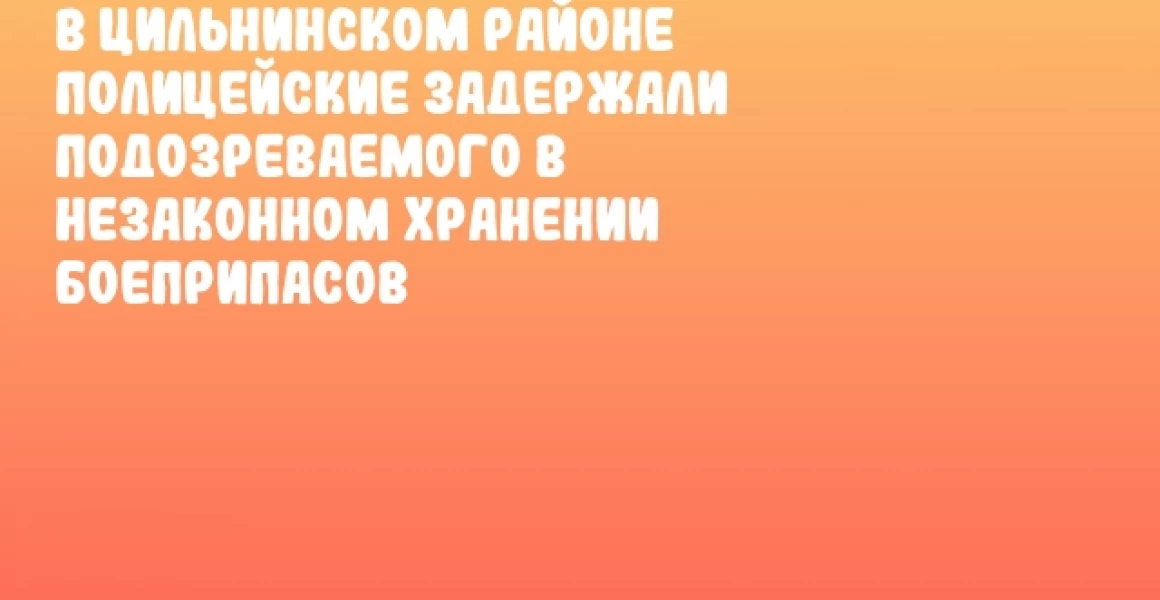 В Цильнинском районе полицейские задержали подозреваемого в незаконном хранении боеприпасов В Цильнинском районе полицейские задержали подозреваемого в незаконном хранении боеприпасов
