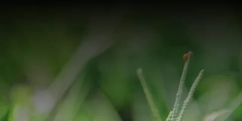 Больше 30 тысяч ульяновских школьников принимают участие в федеральном проекте &laquo;Билет в будущее&raquo;