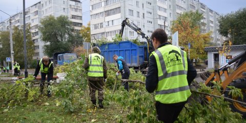 Порядка четырёх тысяч ульяновцев вышли на субботник