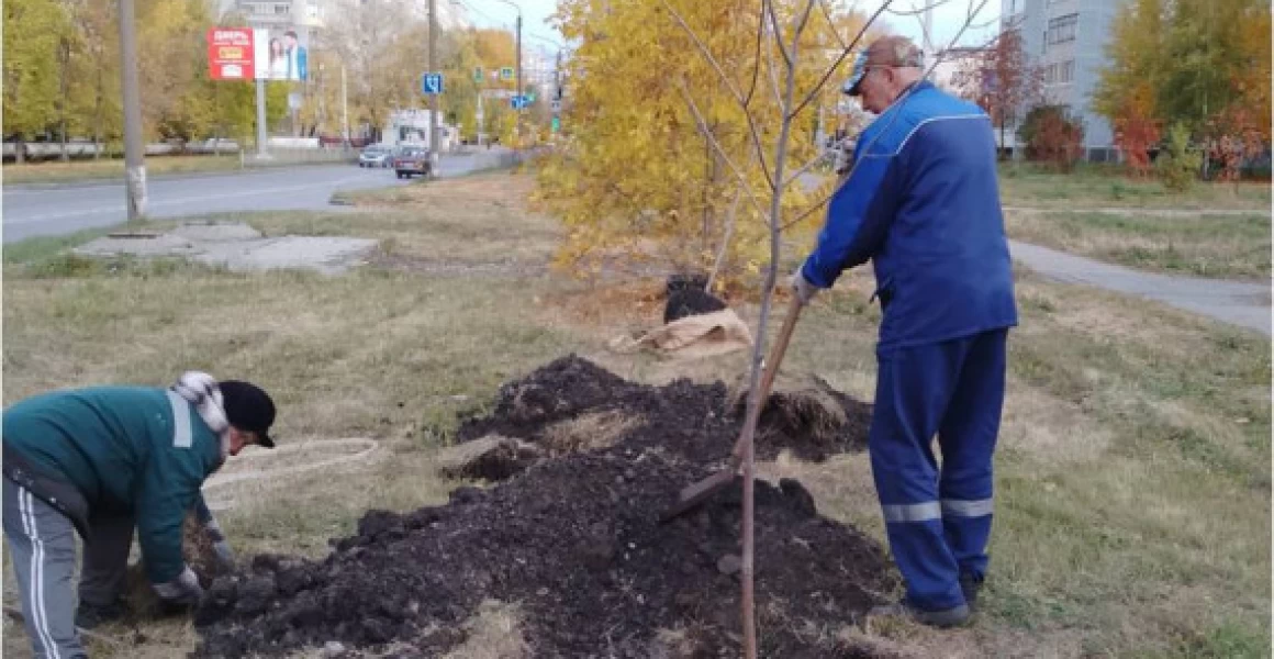 В Ульяновске озеленяют улицы и общественные пространства В Ульяновске озеленяют улицы и общественные пространства