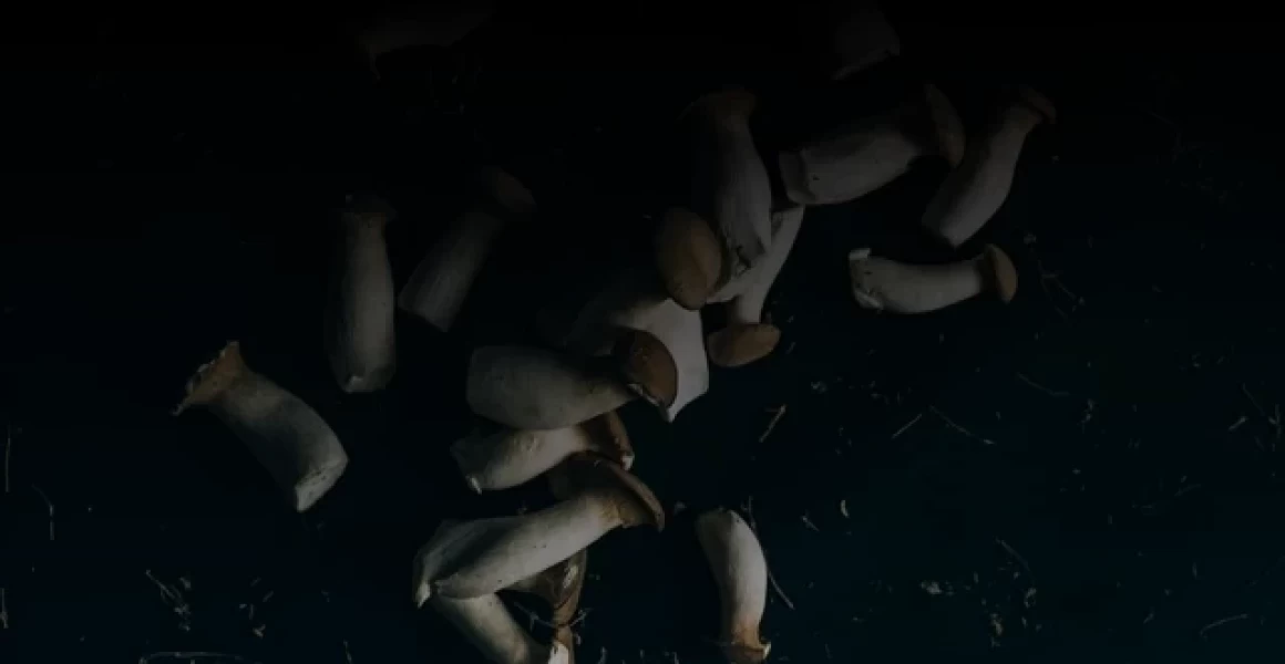 В Ульяновске продляется действие штормового предупреждения