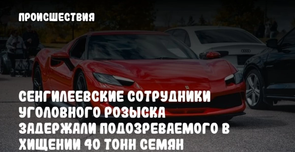 Сенгилеевские сотрудники уголовного розыска задержали подозреваемого в хищении 40 тонн семян подсолнечника Сенгилеевские сотрудники уголовного розыска задержали подозреваемого в хищении 40 тонн семян подсолнечника