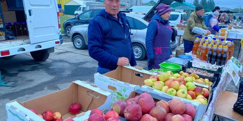 Сельскохозяйственную ярмарку в Засвияжье посетили более 13,5 тысяч ульяновцев