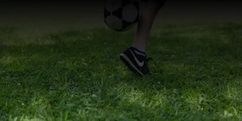 В Ульяновской области достигнута рекордная урожайность зерновых с гектара