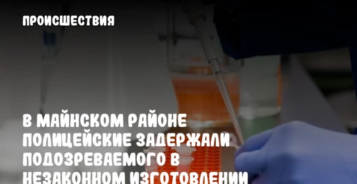 В Майнском районе полицейские задержали подозреваемого в незаконном изготовлении оружия В Майнском районе полицейские задержали подозреваемого в незаконном изготовлении оружия