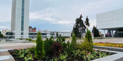 В Ульяновске этой осенью высадят более трех тысяч деревьев и кустарников