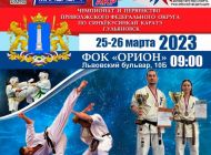 В Ульяновске пройдет первенство Приволжского федерального округа по киокусинкай