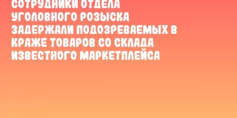 Сотрудники отдела уголовного розыска задержали подозреваемых в краже товаров со склада известного маркетплейса