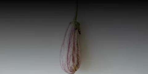 Цильнинские полицейские задержали подозреваемого в незаконном хранении огнестрельного оружия и взрывчатого вещества