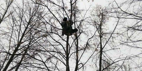 Ребенка сняли с дерева. Спасатели вовремя пришли на помощь