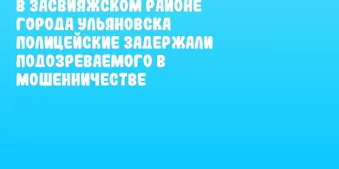 В Засвияжском районе города Ульяновска полицейские задержали подозреваемого в мошенничестве