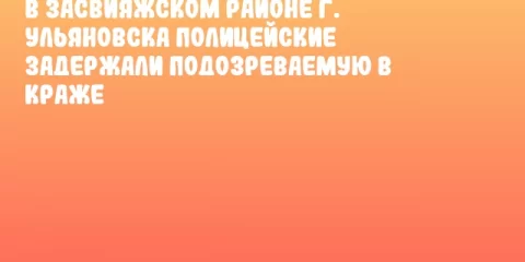 В Засвияжском районе г. Ульяновска полицейские задержали подозреваемую в краже