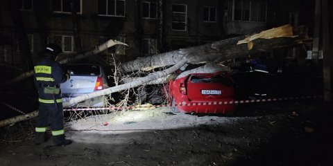 Ульяновские службы устраняют последствия сильного ветра