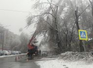 За субботу с северной части Ульяновска вывезли 130 кубометров сломанных ледяным дождём деревьев